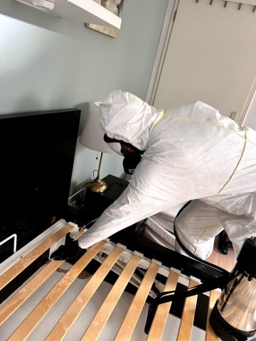 Traitement contre des punaises de lit à Caen